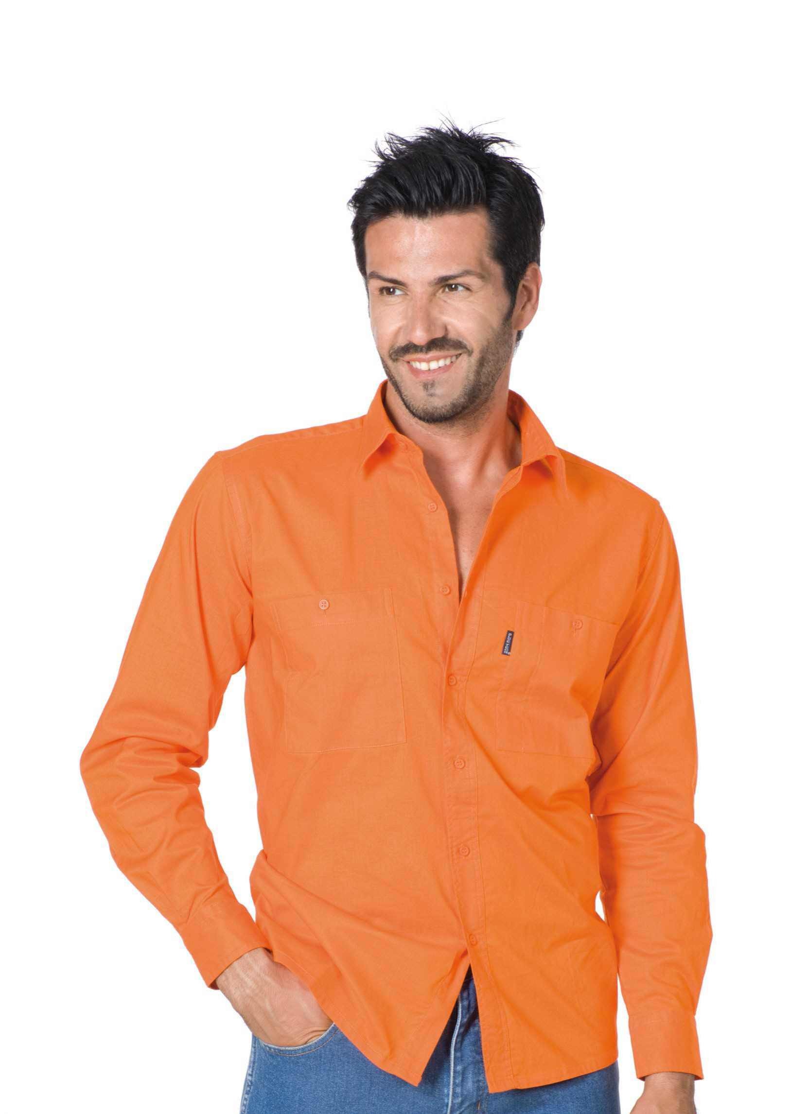 Camicia da lavoro Manica Lunga 100% cotone Logica 8164
