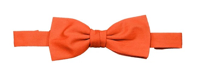 Papillon con elastico da Lavoro Velilla 404006