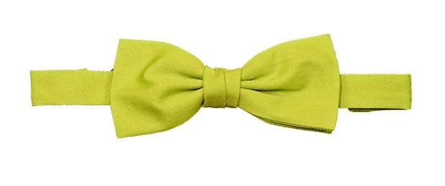 Papillon con elastico da Lavoro Velilla 404006
