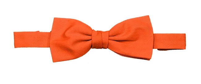 Papillon con elastico da Lavoro Velilla 404006