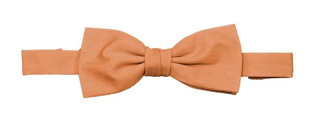 Papillon con elastico da Lavoro Velilla 404006