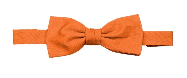 Papillon con elastico da Lavoro Velilla 404006