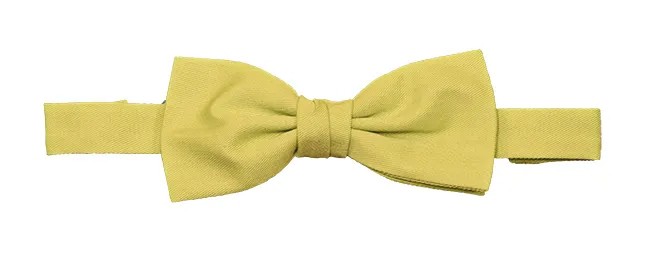 Papillon con elastico da Lavoro Velilla 404006