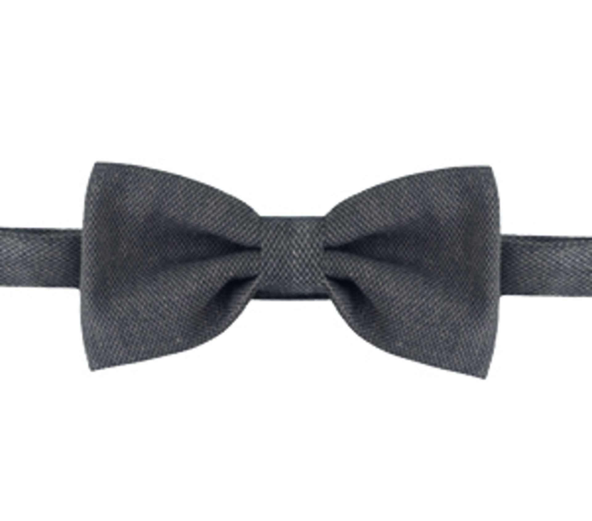 Papillon da Lavoro Stretch Giblor's 17P05I873