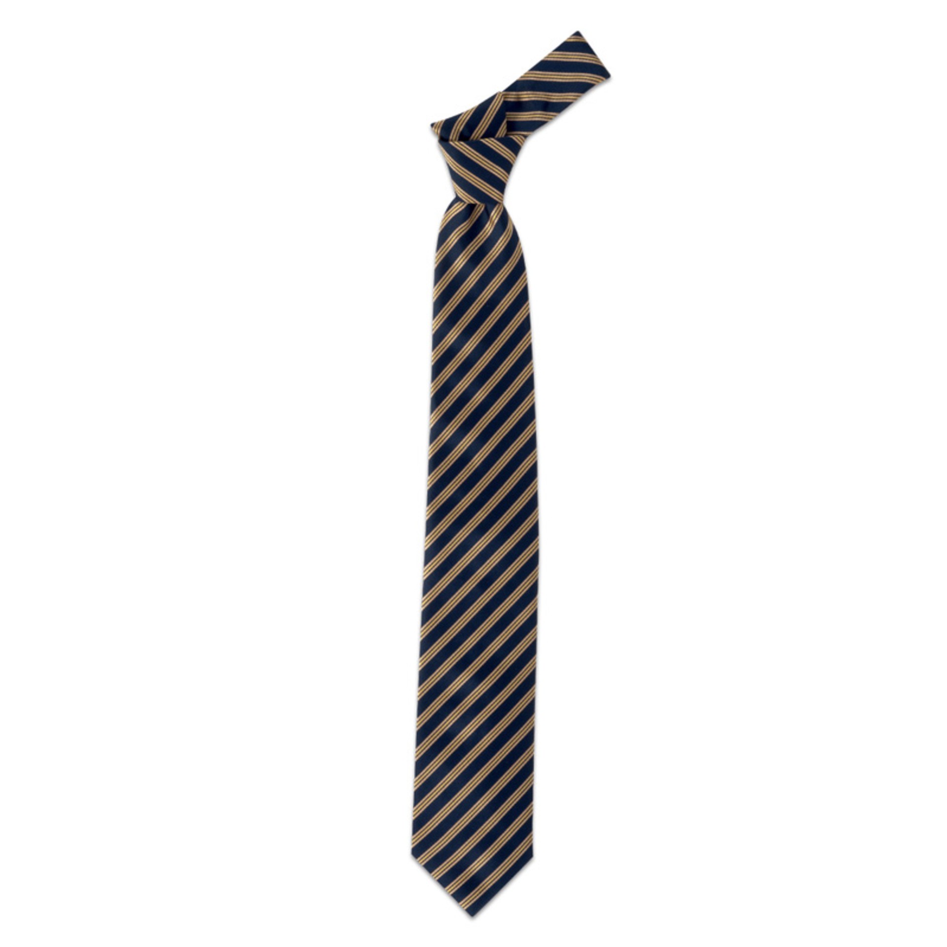 Cravatta da Lavoro 100% Poliestere Giblor's 19P05I141