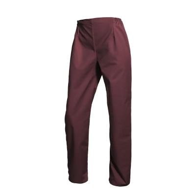 Pantalone da lavoro Molinel VICTORPNPFGPE donna settore sanitario