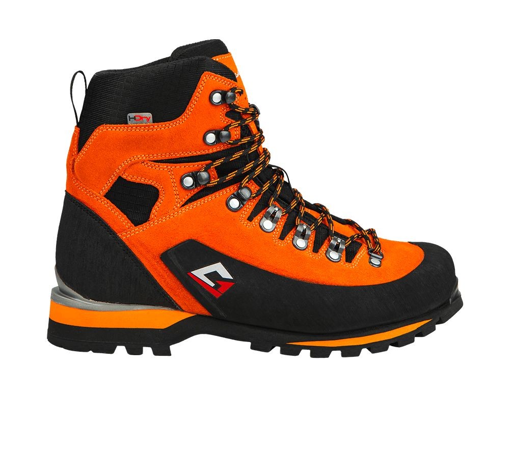 Scarponi Garsport Mountain Tech High H-Dry Alte