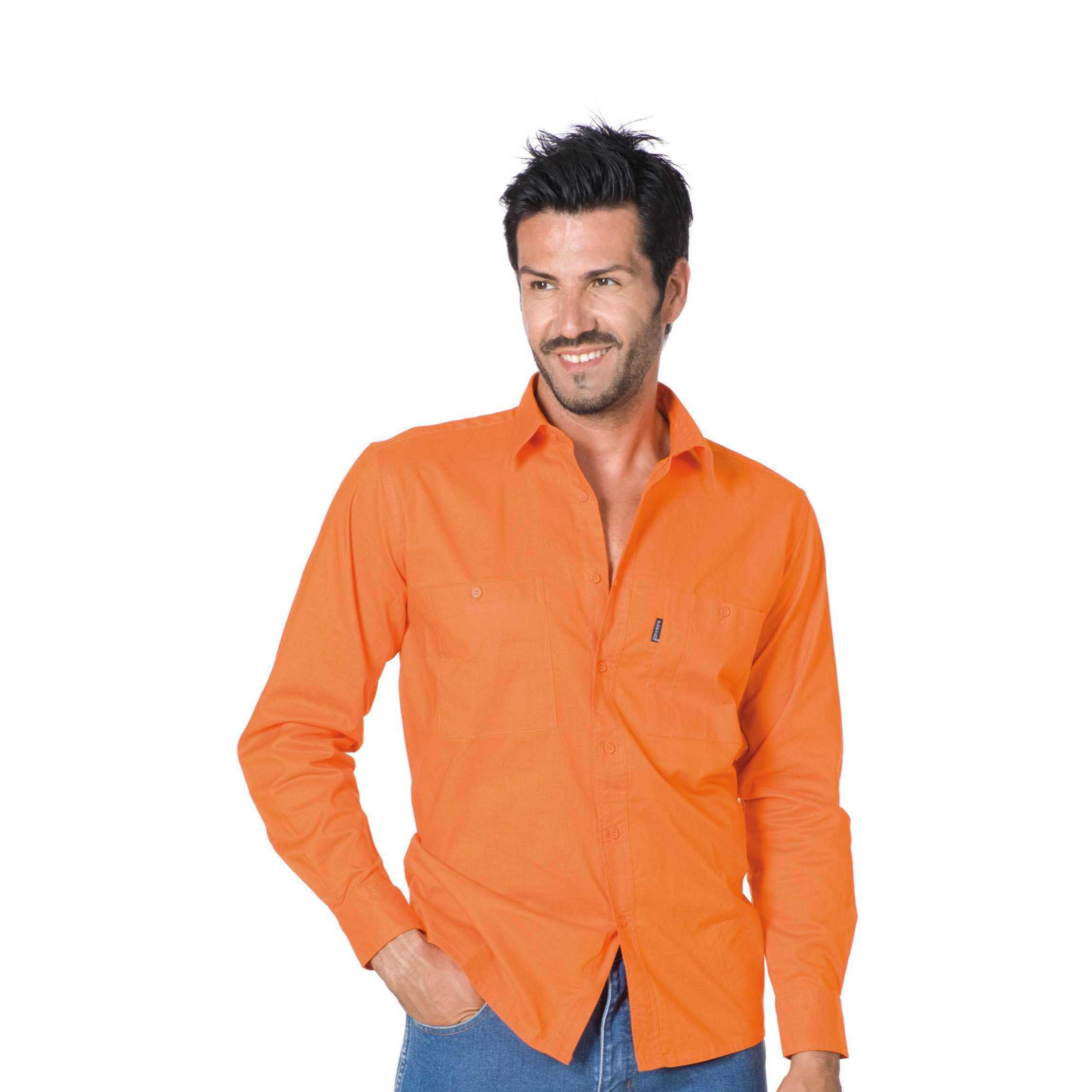 Camicia da lavoro Manica Lunga 100% cotone Logica 8164