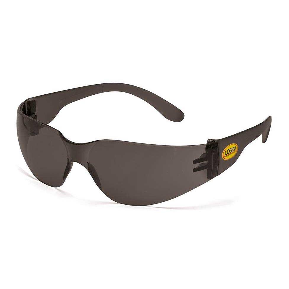 Occhiali da lavoro Policarbonato Logica ECOVISION/1