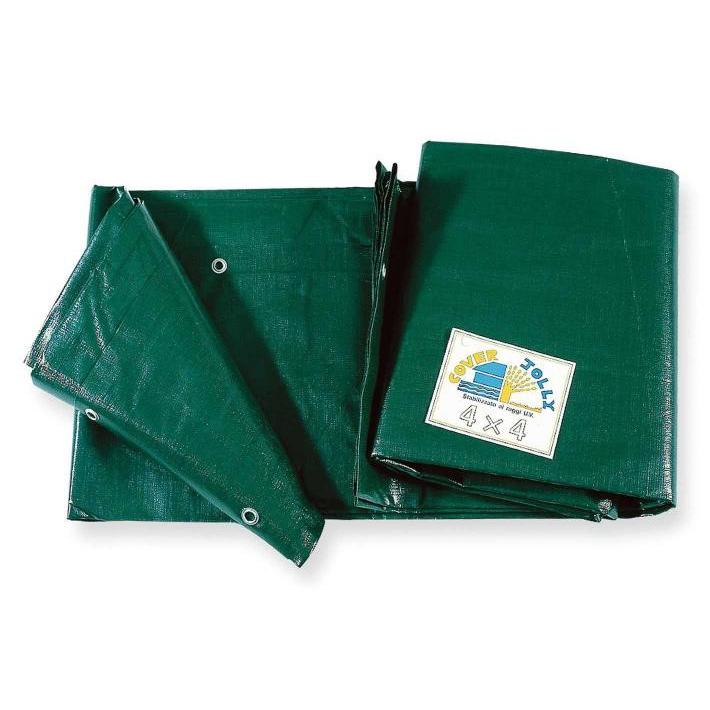 Telo Verde da Copertura da Lavoro 3X5 Logica CJ15