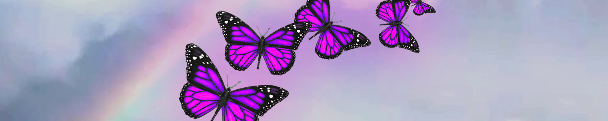 Butterfly Effect Header